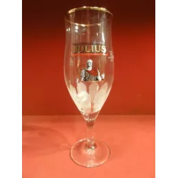 6 VERRES JULIUS 33CL