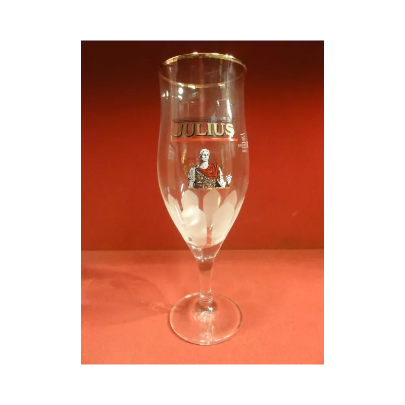 6 VERRES JULIUS 33CL