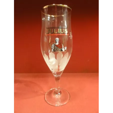 6 VERRES JULIUS 33CL