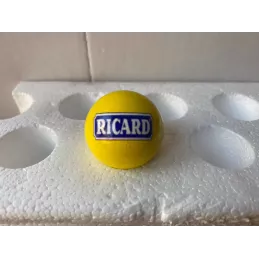 COCHONNET RICARD  HOMOLOGUE