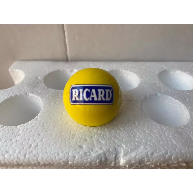 COCHONNET RICARD HOMOLOGUE COCHONNET RICARD HOMOLOGUE