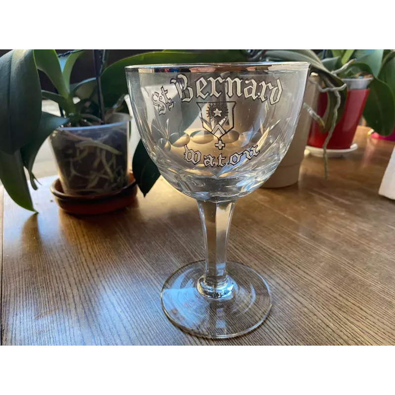 VERRE EMAILLE SAINT BERNARD WATOU 33CL HT 17.60CM VERRE EMAILLE SAINT BERNARD WATOU 33CL HT 17.60CM