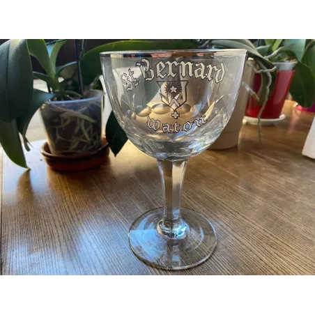 VERRE  EMAILLE SAINT BERNARD WATOU 33CL HT 17.60CM