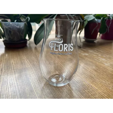 6 VERRES BIERE  FLORIS 25/33CL  HT 13CM