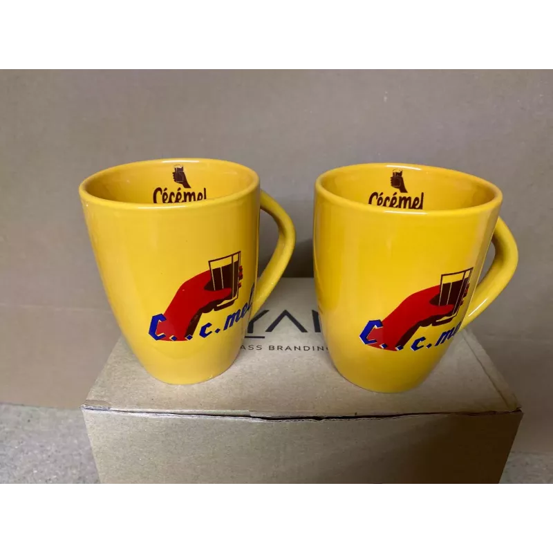 2 TASSES CECEMEL 22/25CL 2 TASSES CECEMEL 22/25CL