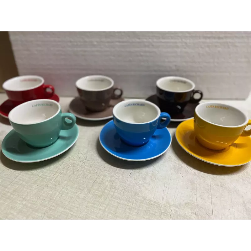 6 TASSES A CAFE  RICHARD  18CL  6 COULEURS