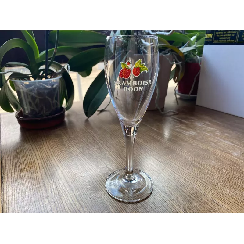 6 VERRES FRAMBOISE  BOON  15CL  HT 18.80CM