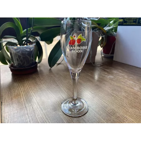6 VERRES FRAMBOISE  BOON  15CL  HT 18.80CM
