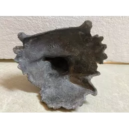 ANCIEN PYROGENE  EN REGULE