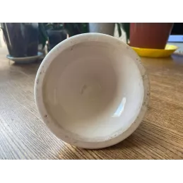 PYROGENE  CHINA BRUN PEROD