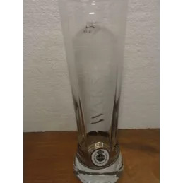 6 VERRES WARSTEINER  NOUVEAU 25CL