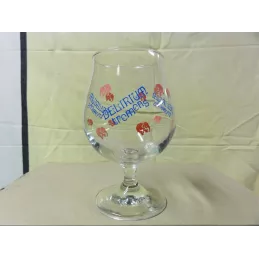 boite de 6 verres delirium 25cl 