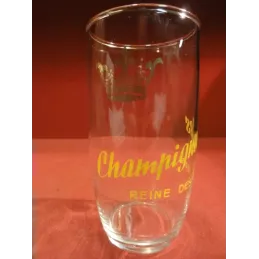 1 VERRE CHAMPIGNEULLES  25CL  HT 12,80